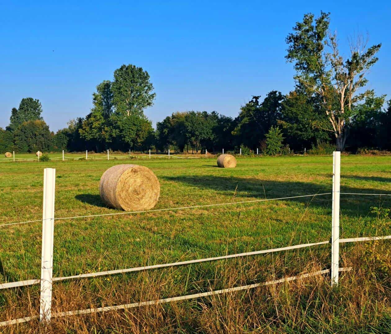 Contract de arendă agricolă și proceduri legale de recuperare a neplății - notificare și executare silită