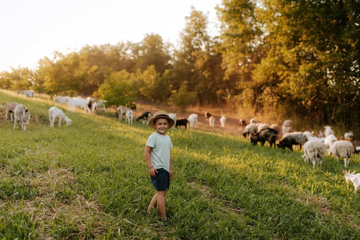 Viitor tânăr fermier - finanțare 200.000 euro DR 12 AFIR pentru investiții agricole