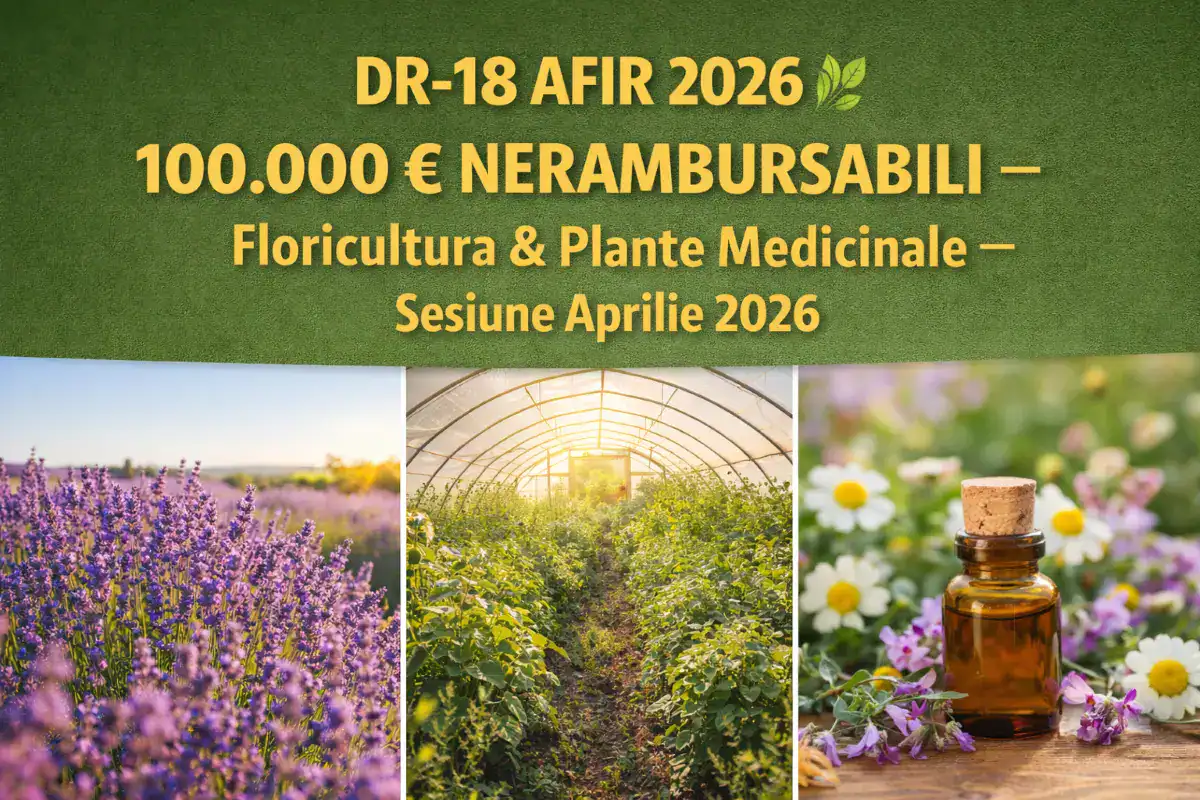 Câmp de lavandă și plante medicinale în solar – DR-18 AFIR 2026 până la 100.000 euro nerambursabili pentru floricultura plante medicinale și aromatice sesiune aprilie 2026
