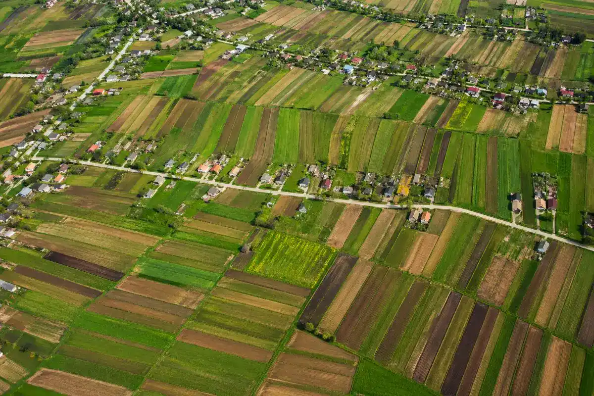 Raport OECD 2026 — România concentrează 2,9 milioane de ferme din cele 9,1 milioane ale UE, cu o dimensiune medie de 4,4 hectare și subvenții PAC concentrate la sub 2% din beneficiari