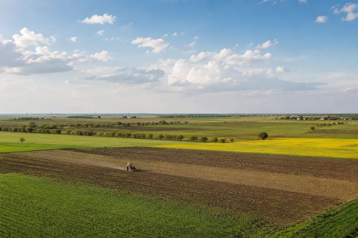Câmp agricol cu cultură de cereale — subvenții APIA pe hectar 2026, intervalul optim 10-50 hectare pentru plata redistributivă CRISS