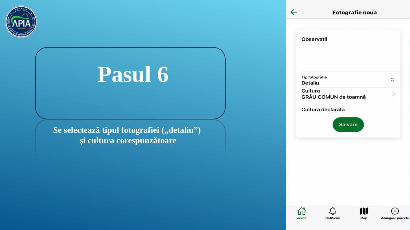 Pasul 6 GeoFoto APIA – Selectare tip „Detaliu
