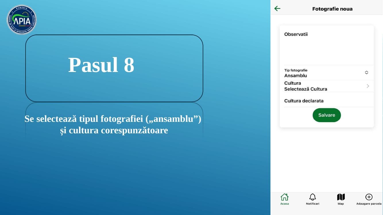 Pasul 8 GeoFoto APIA – Selectare tip „Ansamblu